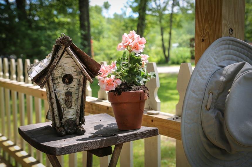 Frog-Faerie-family-cabin-4-1 Frog-Faerie-family-cabin-4-1