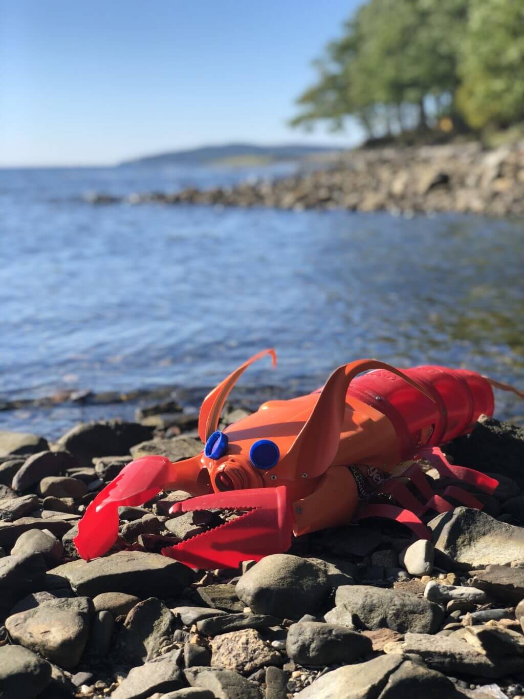 Lobster made from tide bottle