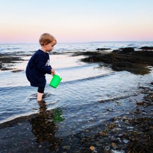 child searching in tidepools