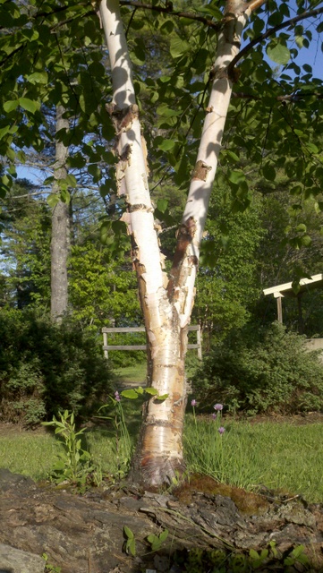 2012-06-01_18-07-47_27