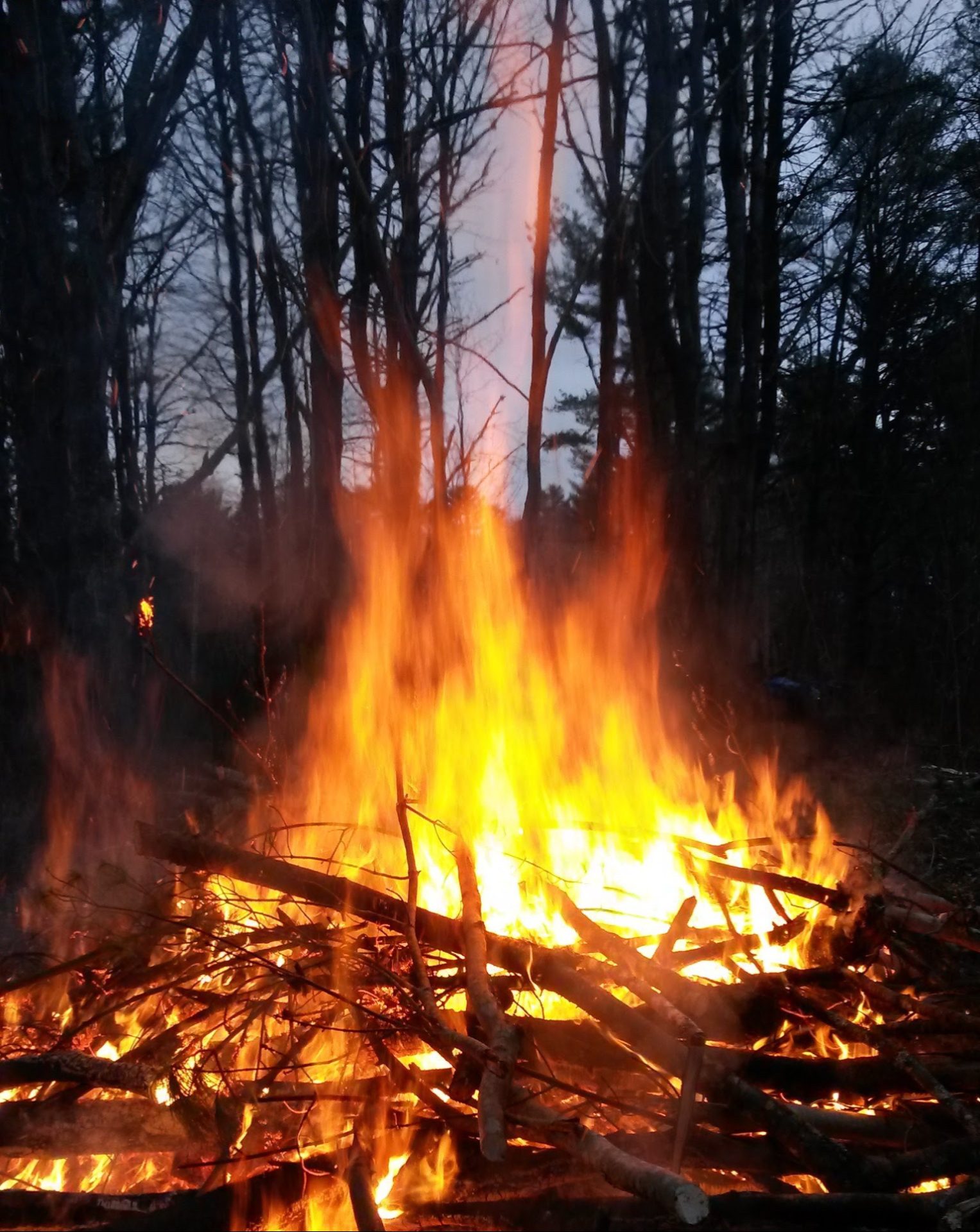 Campground fire at Searsport Shores