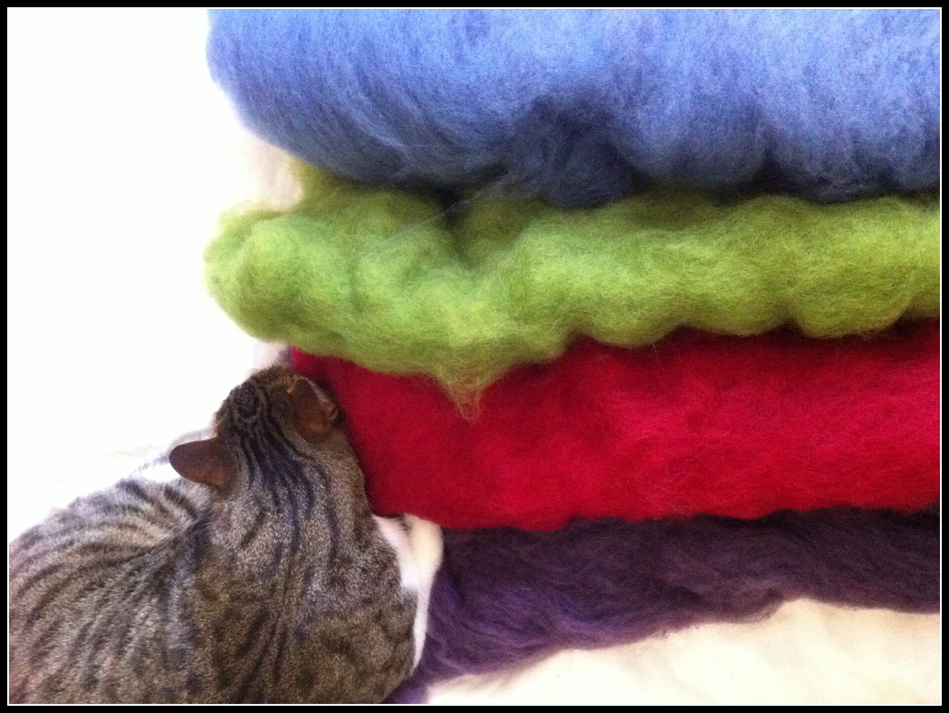 Plant dyed wool batts ready to spin