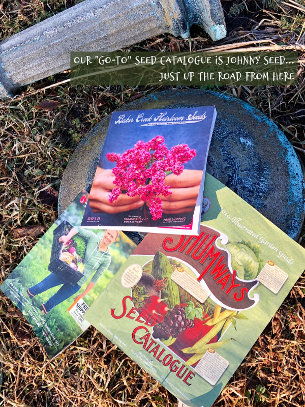 catalogues