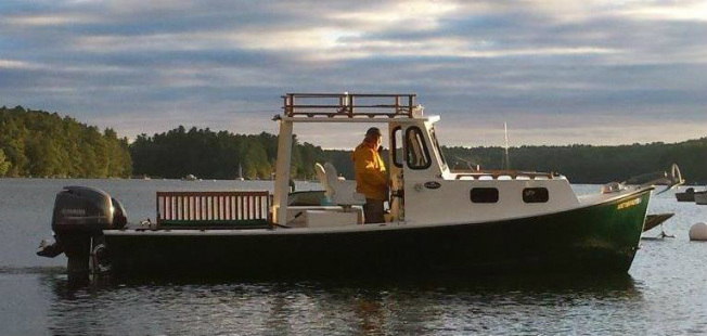Gull Charter