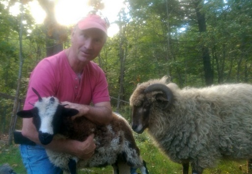 Millie the Jacob lamb has joined our little spinner's flock...we're so happy and Maggie loves the company!