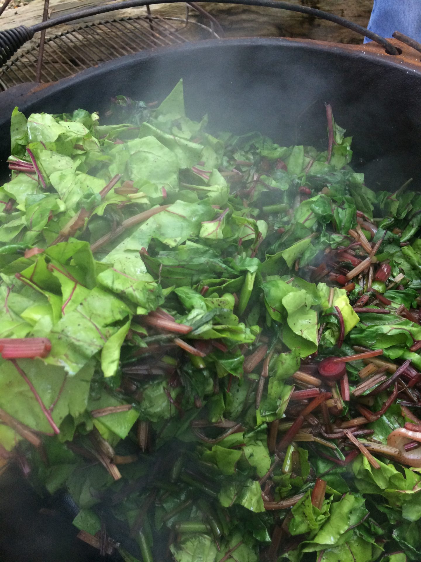 green, fresh, lobster, bake, searsport, maine, happy