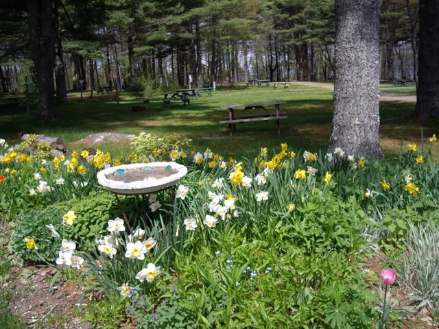 Site garden