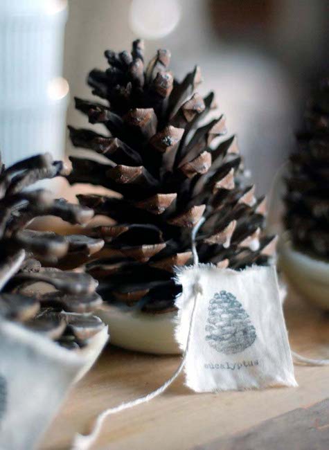 pineconedesignsponge