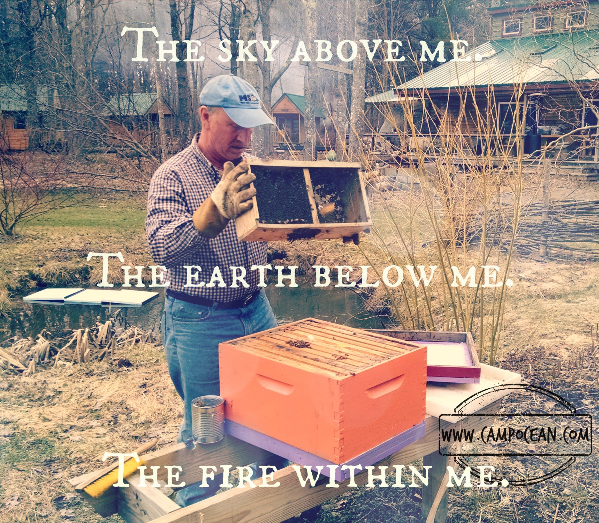 The Bees are Here! Searsport Shores Ocean Camping