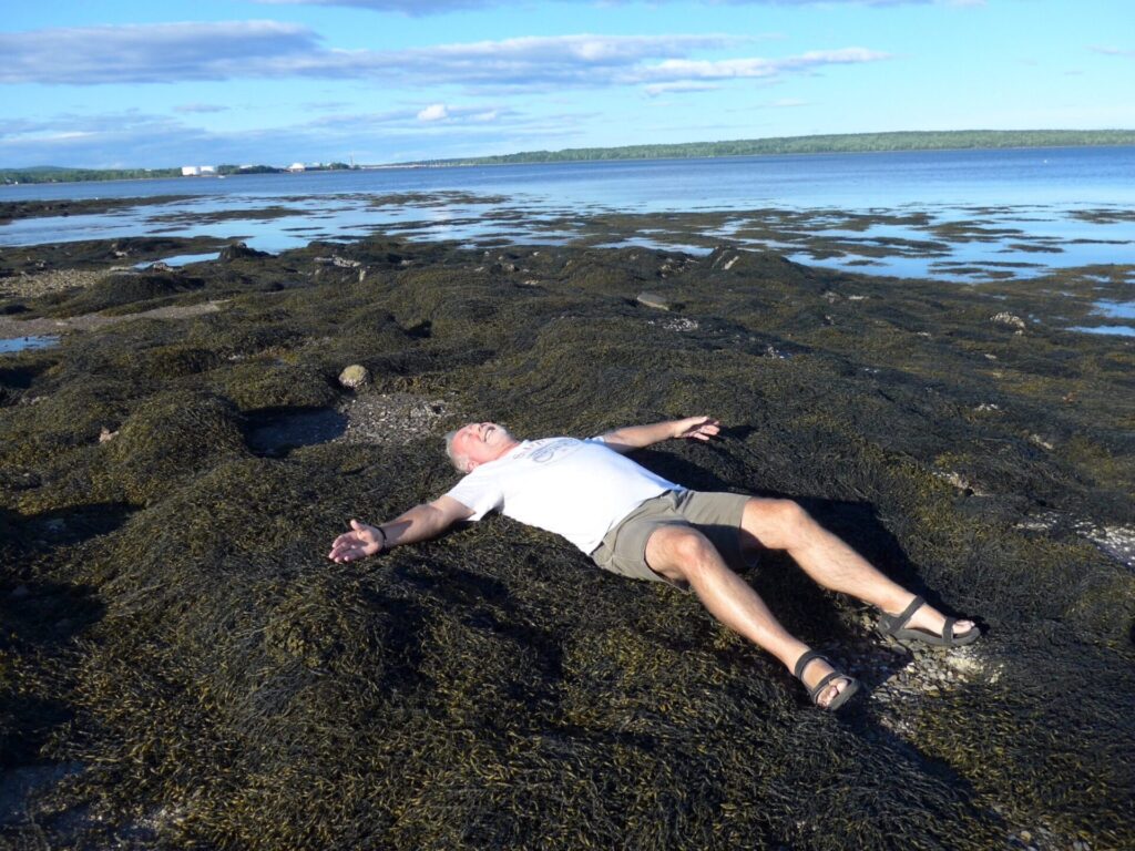 man laying on seaweed