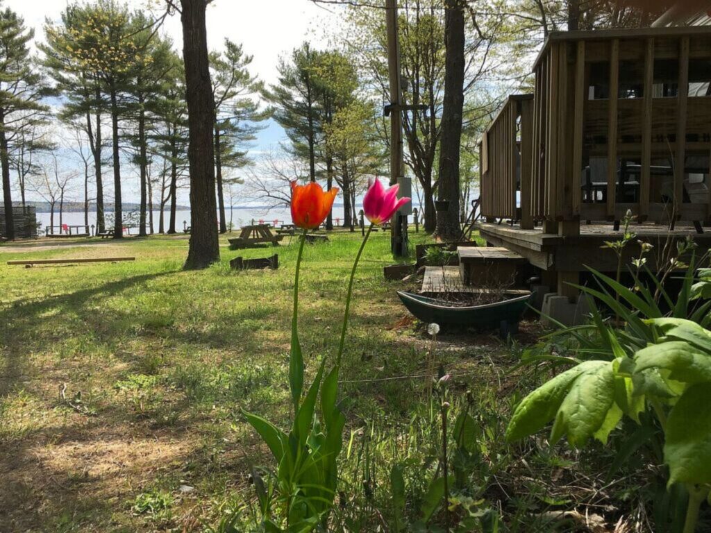 The view from a water and electric campsite in the 5th row