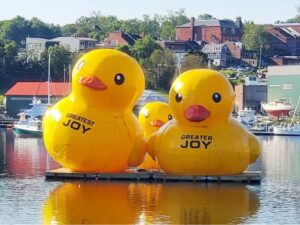 two inflatable ducks in Belfast