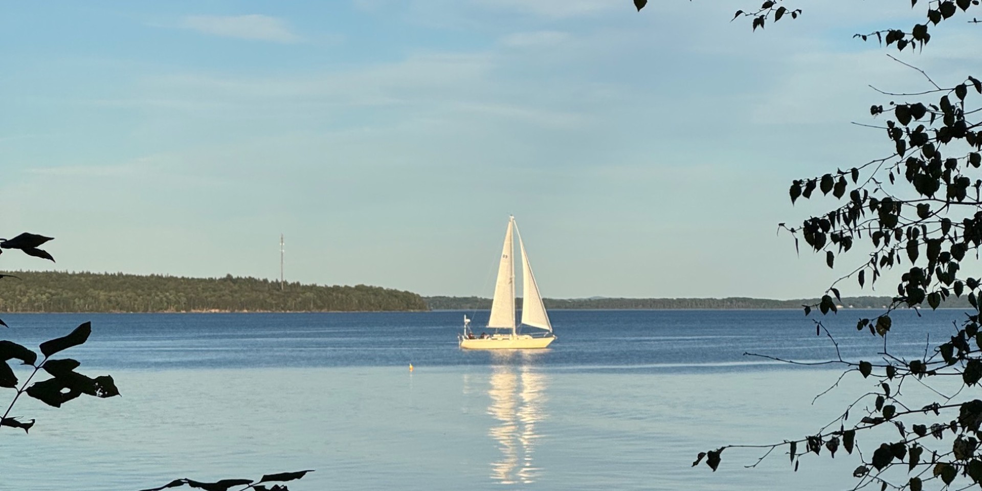 Sailboat on Penobscot Bay in front of Sears Island